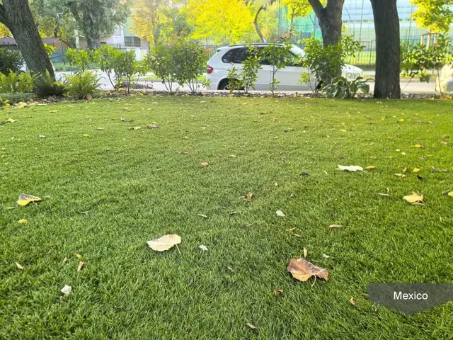 Relva Residencial — fotografia 3 de 5