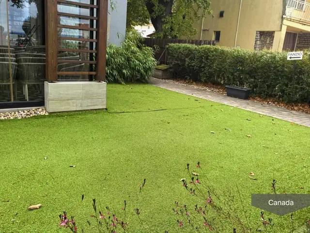 Relva Residencial — fotografia 4 de 5