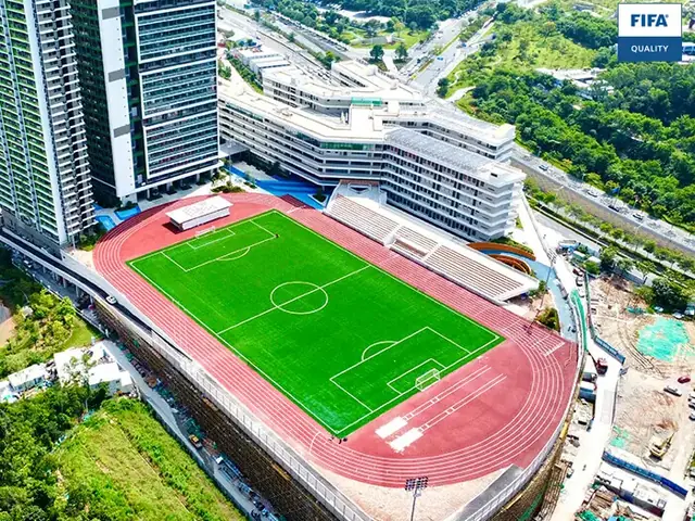 Relvado de Futebol — fotografia 4 de 6
